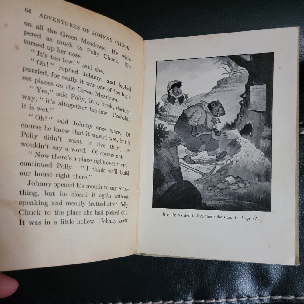 The Adventures of Johnny Chuck by Thornton W. Burgess Hardback 1st Edition Child - Picture 8 of 15